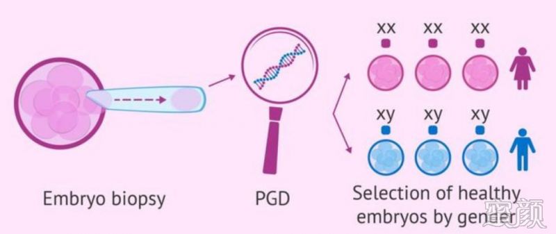 环境内分泌干扰物暴露与不孕发生风险关联研究现状